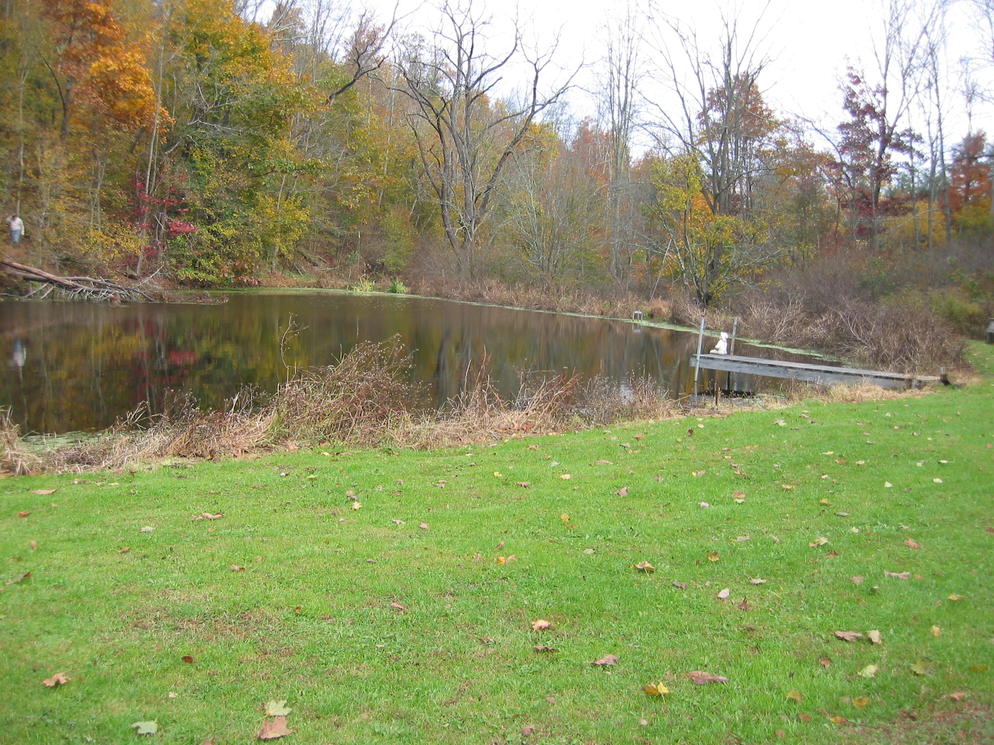 fall is a great season at Clover's cottage Welcome to Clover's Cottage where every season is special.